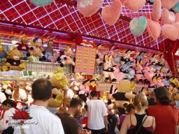 Toulouse-2008-195