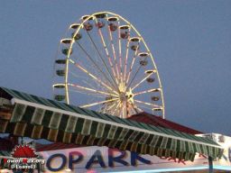 Vias-Plage-2008-30