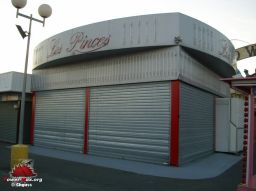 mini-PMmini-IMG-0190