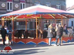 Zoutleeuw-Be-2008-33
