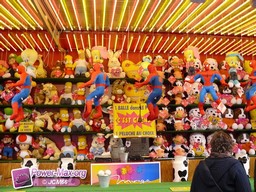 Angers-2009-10