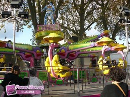 Angers-2009-19