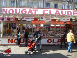 Arras-printemps-2009-06