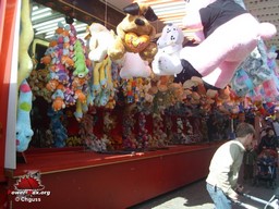 Arras-printemps-2009-11