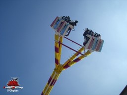 Arras-printemps-2009-14