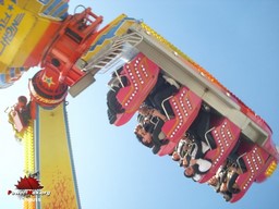 Arras-printemps-2009-50