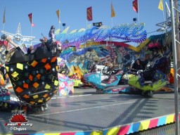 Arras-printemps-2009-58