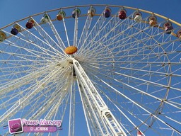 Bordeaux-octobre-2009-17