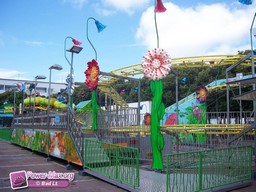 Calais-ete-2009-13