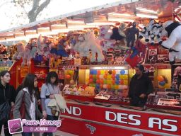 Carcassonne-automne-2009-113