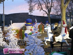 Carcassonne-automne-2009-127