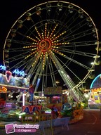 Carnon-2009-17