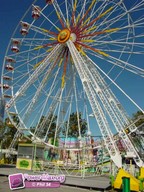 Carnon-2009-58