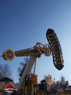Denain-printemps-2009-13
