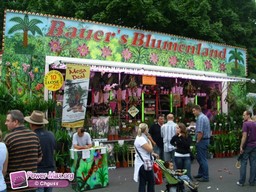Herne-All-2009-197