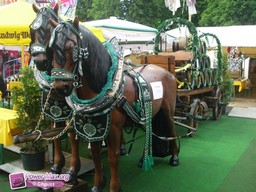 Krefeld-All-2009-130