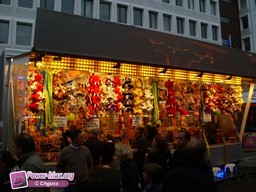 Leiden-Pays-Bas-2009-17