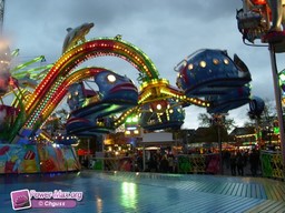 Leiden-Pays-Bas-2009-43