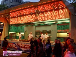 Leiden-Pays-Bas-2009-76