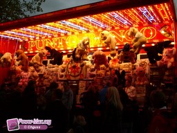 Leiden-Pays-Bas-2009-79