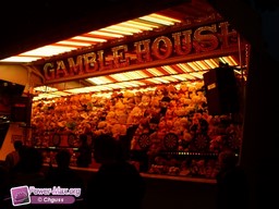 Leiden-Pays-Bas-2009-94