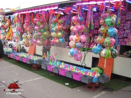 Lille-printemps-2009-18