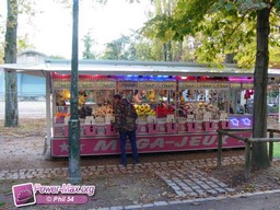 Nancy-automne-2009-11