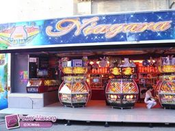 Pamiers-2009-44