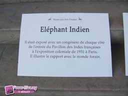 Paris-Fete-du-Grand-Palais-2009-31