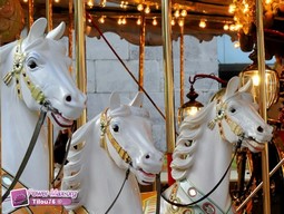 Rouen-2009-17