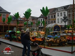 Sint-Truiden-Belgique-2009-15