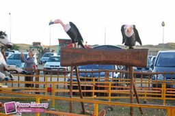 St-Hilaire-de-Riez-Beauland-Park-2009-11