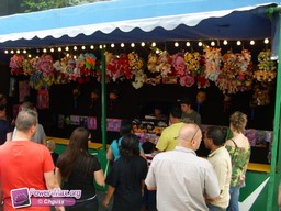 Tilburg-Pays-Bas-2009-103