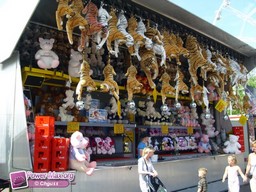 Tilburg-Pays-Bas-2009-194