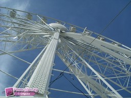 Tilburg-Pays-Bas-2009-207