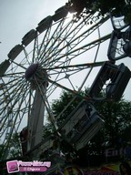 Tilburg-Pays-Bas-2009-219