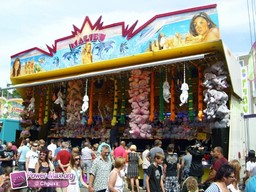 Tilburg-Pays-Bas-2009-233