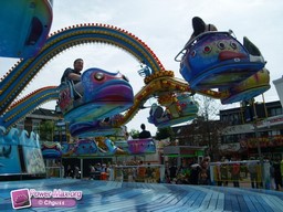 Tilburg-Pays-Bas-2009-260