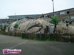 Tilburg-Pays-Bas-2009-41