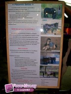 Vias-2009-177