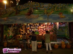 Vias-2009-243