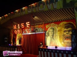 Vias-2009-271