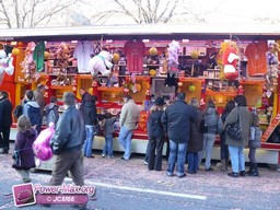Albi-2010-221