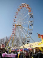 Caen-2010-20