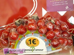 Carcassonne-2010-37