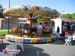 Castelnau-D-estretefonds-2010-17