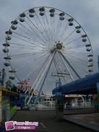 Harderwijk-Pays-Bas-2010-18