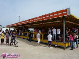 Ingre-2010-6