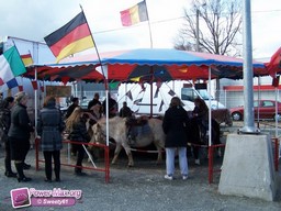 Le-Mans-printemps-2010-28