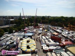 Lille-2010-11